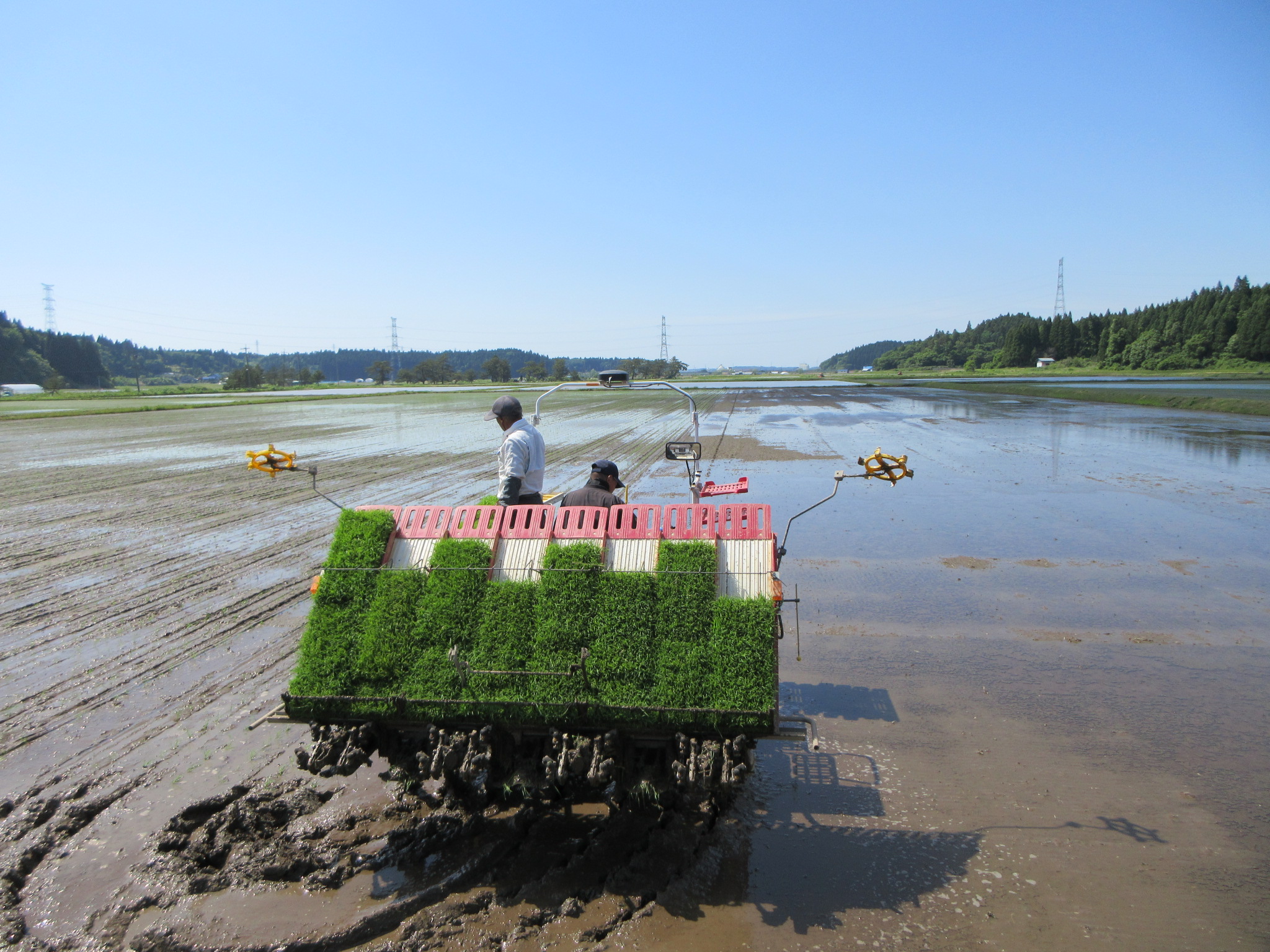 いよいよ田植え！アグリの若手が頑張っています！