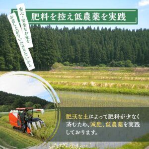 aguri_hiyamagenmai5kg