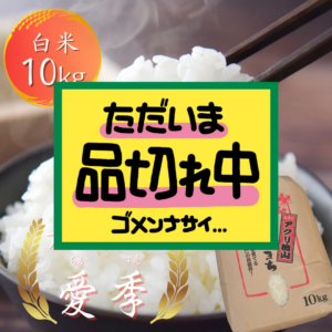 tikasue10kg