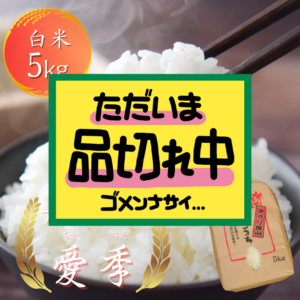 tikasue5kg